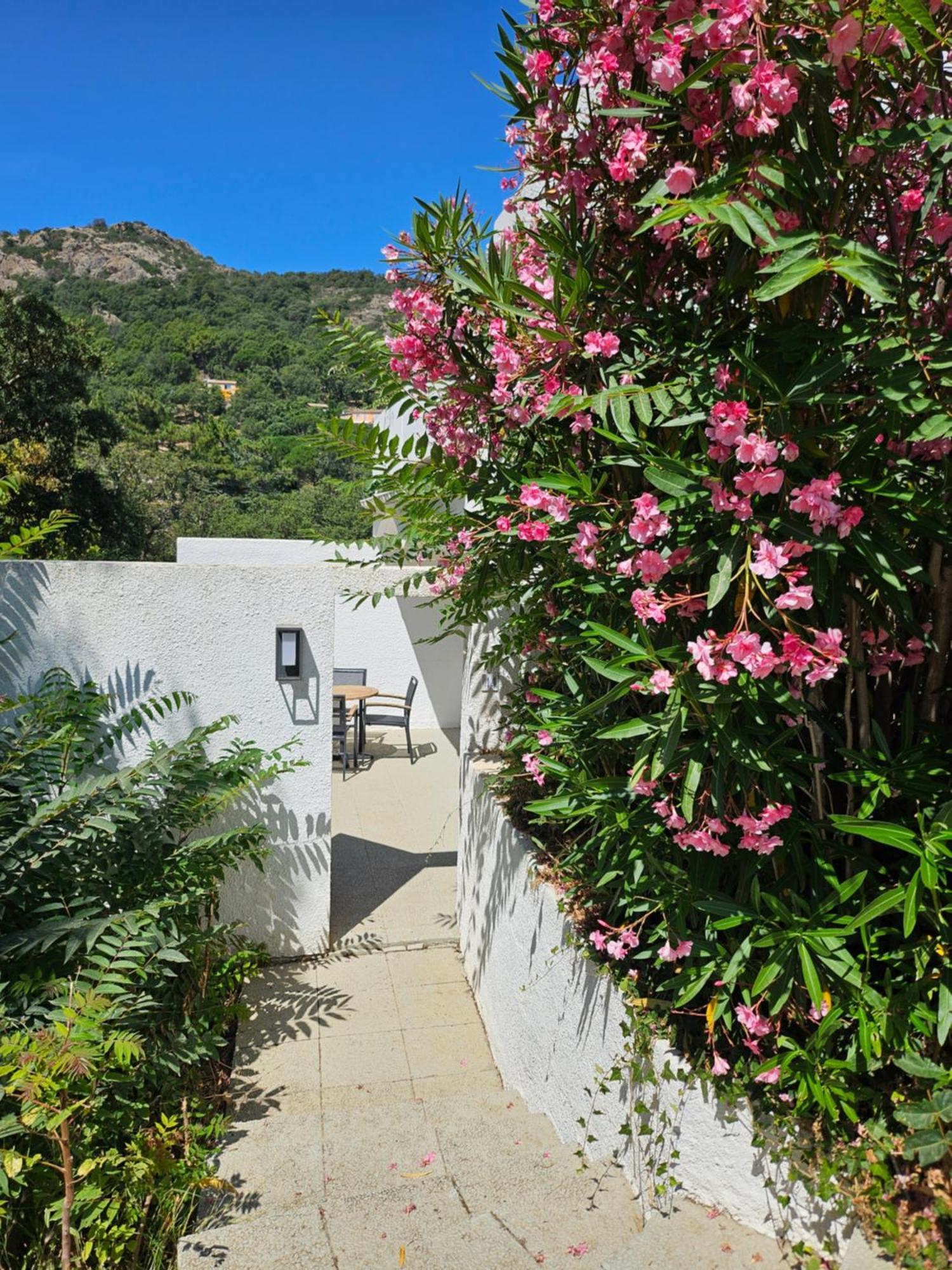 Capsud, La Garde-Freinet Appartement Buitenkant foto